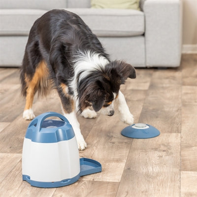 Trixie Hund Aktivität Gedächtnistrainer 3.0