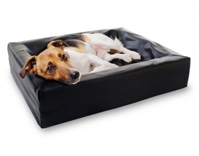 Bia Bed Hund Korb Orthopädische Schwarz