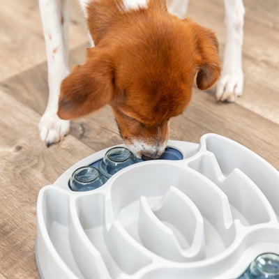 Trixie Dog Activity Slide &Amp; Feed