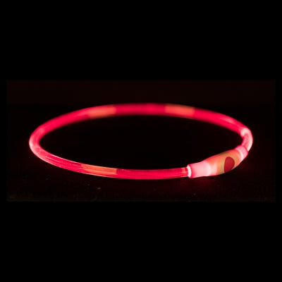 Trixie Leuchtkragen Usb Blitzlicht Wiederaufladbar Tpu Rot