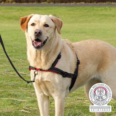 Trixie Hundegeschirr Lead'n'walk Soft Schwarz