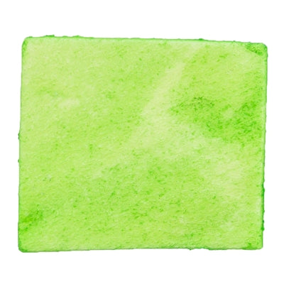 Trixie Denta Fun Spirulina Kaugummi-Chips