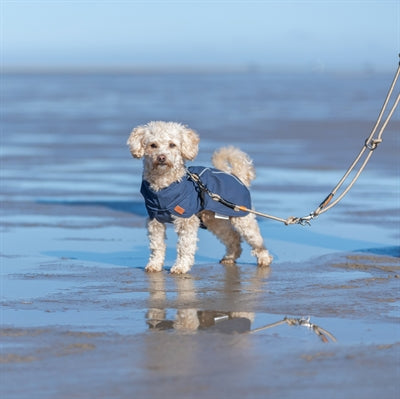 Trixie Be Nordic Mackintosh Husum Blau