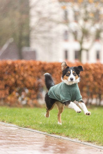 Trixie Citystyle Hund Sweatshirt Amsterdam Salbeigrün