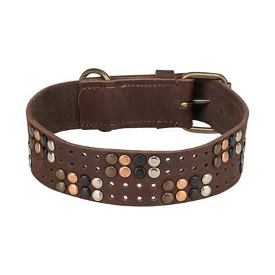 Trixie Hundehalsband Niete Rustikal Spitze Leder Dunkelbraun
