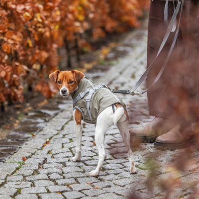 Trixie Mackintosh Hund Pontis Regen Mit Geschirr Olivgrün