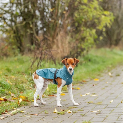 Trixie Mackintosh Hund Vimy Benzin
