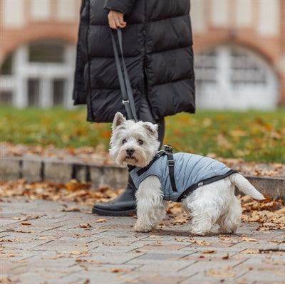 Trixie Hundemantel Pontis Mit Geschirr Blau-Grau