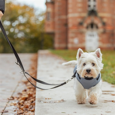 Trixie Hundemantel Pontis Mit Geschirr Blau-Grau