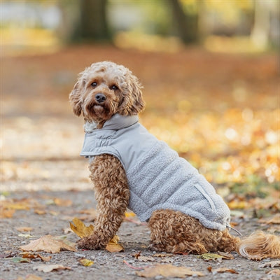 Trixie Hundemantel Ajou Grau