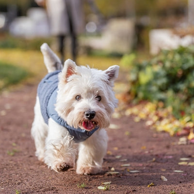 Trixie Hundemantel Ajou Blau