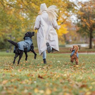 Trixie Hundemantel Winter Riom Dunkelblau