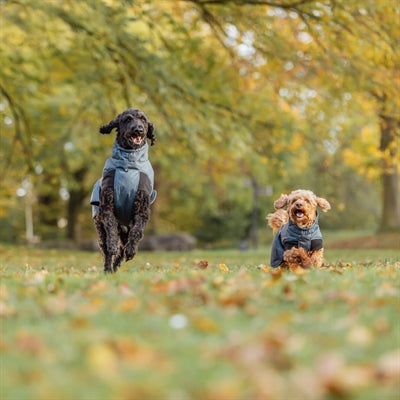 Trixie Hundemantel Winter Riom Dunkelblau